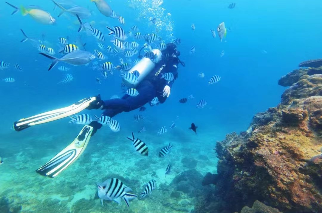 Hele crab, Wenchang chicken, Dongshan lamb and Jiaji duck